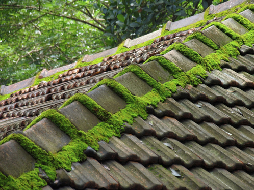 Démoussage de toiture dans le Val d'Oise